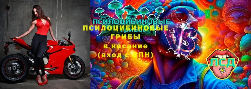 Галлюциногенные грибы Magic Shrooms  купить наркоту  Ковров 